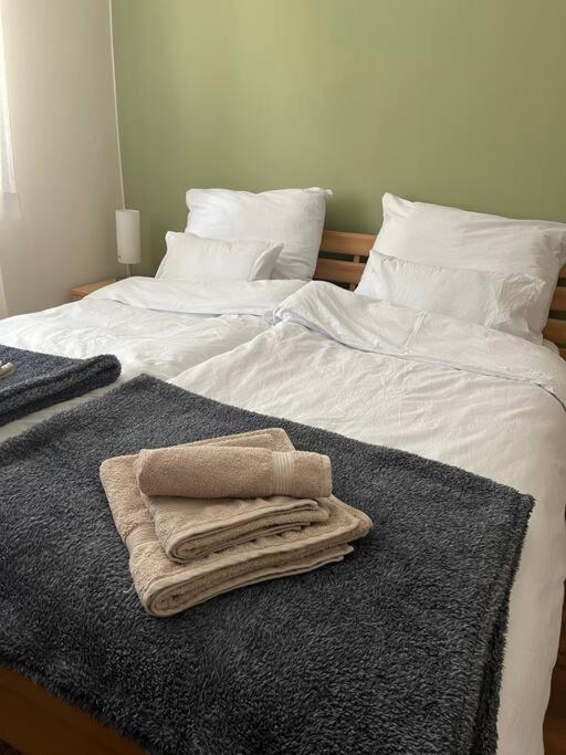 Priestranny 3 Izb. Apartman V Centre S Parkovanim. Banská Bystrica Dış mekan fotoğraf
