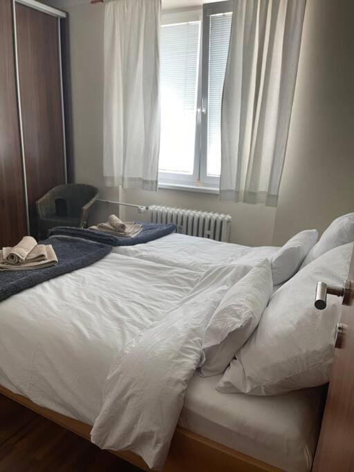 Priestranny 3 Izb. Apartman V Centre S Parkovanim. Banská Bystrica Dış mekan fotoğraf